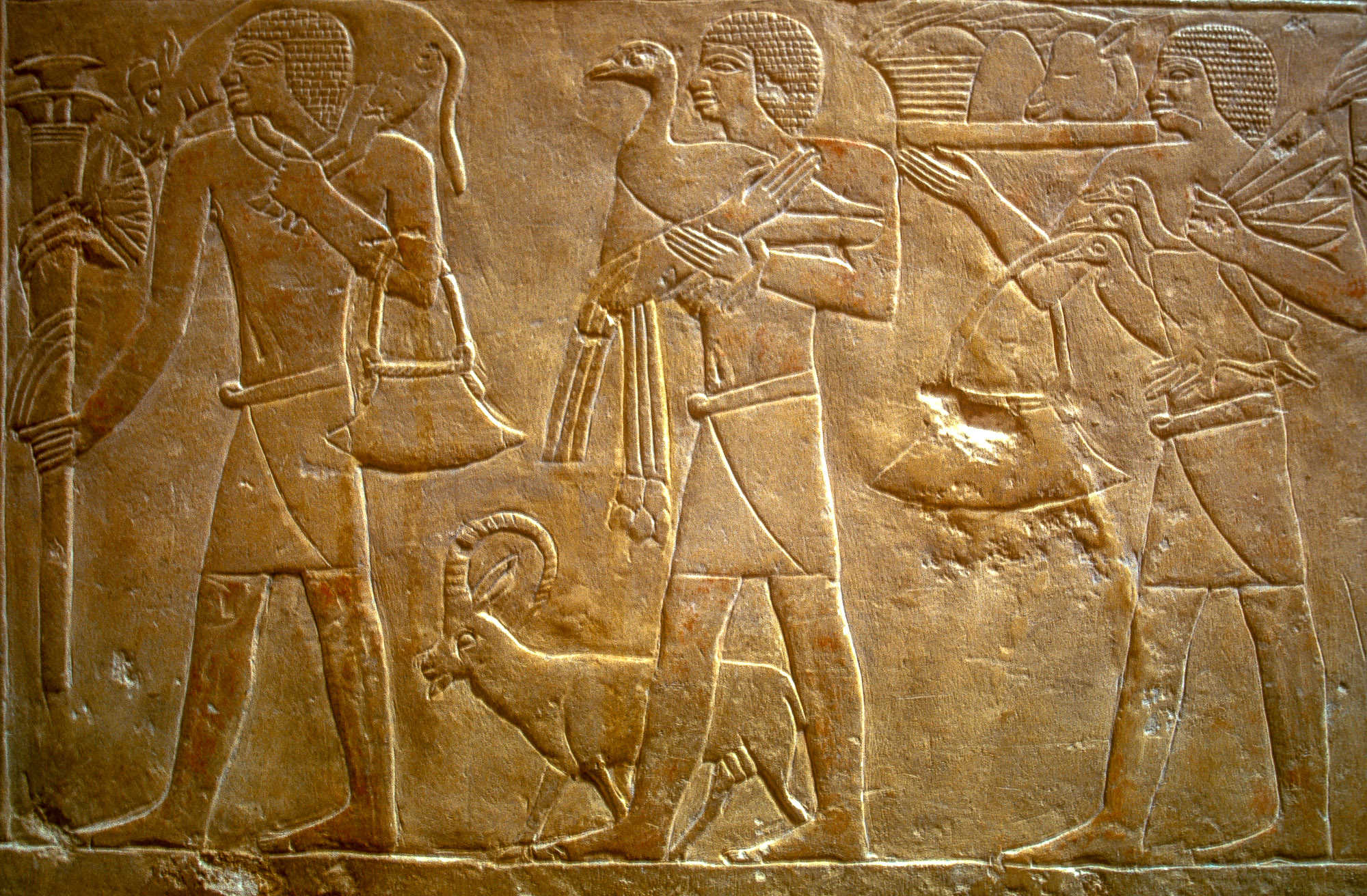 Egypte264