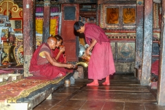 Ladakh047