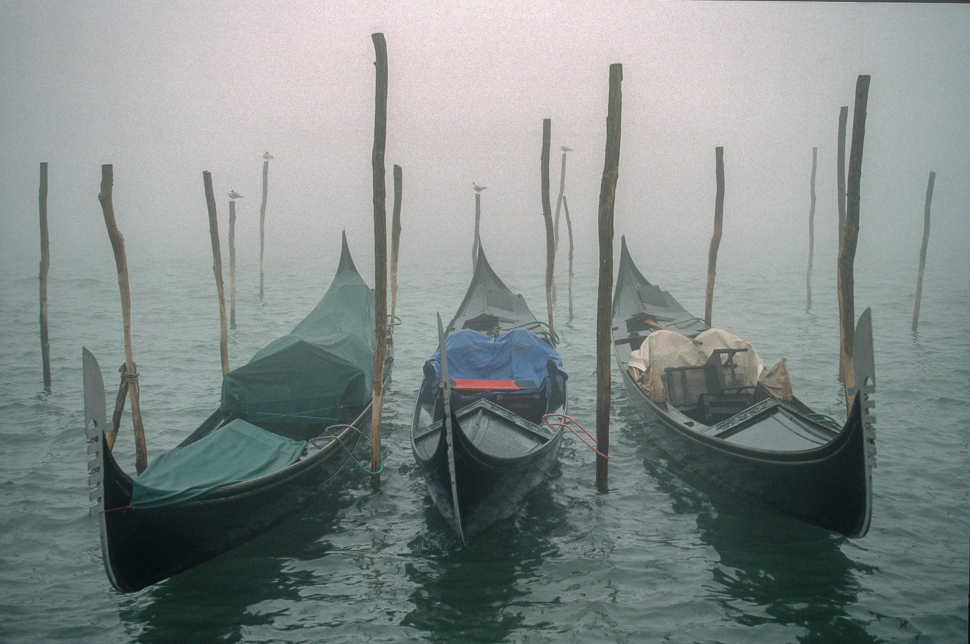 Venise240