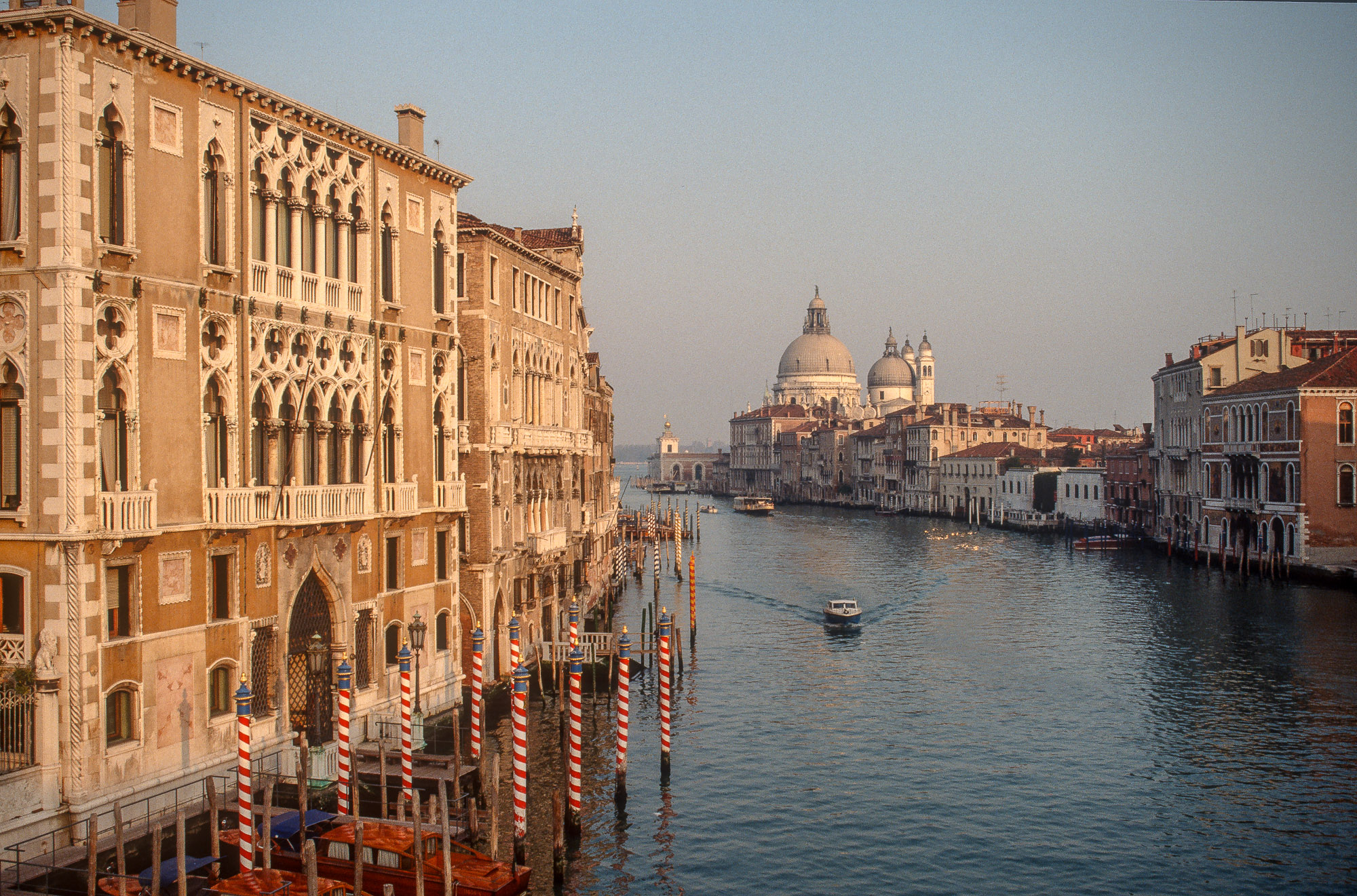 Venise83